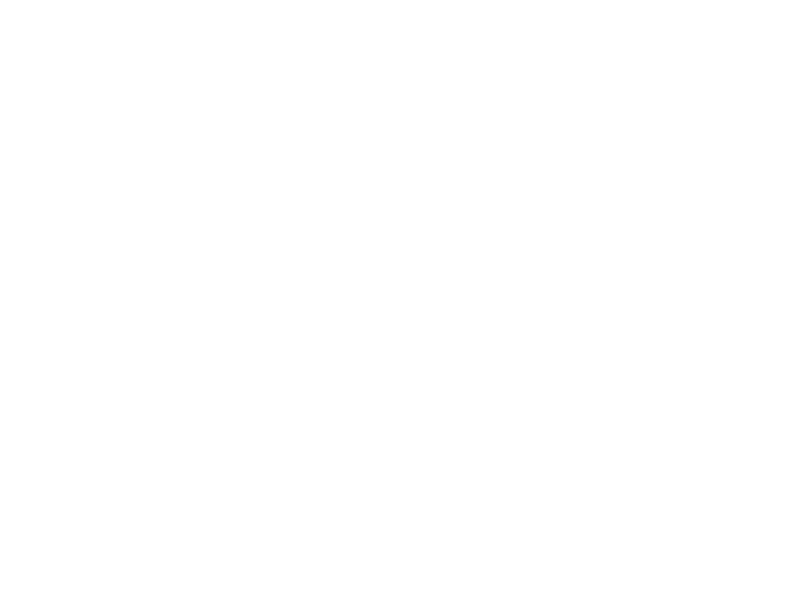 Chinor Labs